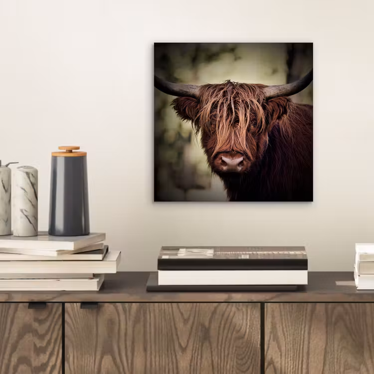 Schotse hooglander - Licht - Portret - Natuur aluminium wit klein -sfeer1