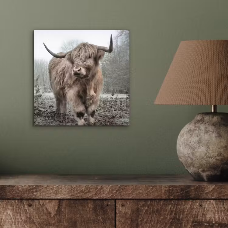 Schotse hooglander - Natuur - Herfst - Dieren - Wild - Bos aluminium wit klein -sfeer2
