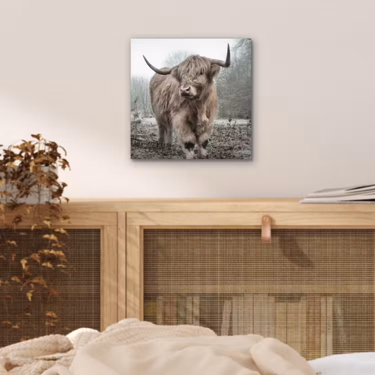 Schotse hooglander - Natuur - Herfst - Dieren - Wild - Bos aluminium wit klein -sfeer3