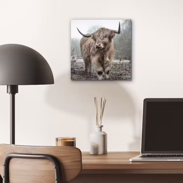 Schotse hooglander - Natuur - Herfst - Dieren - Wild - Bos aluminium wit klein -sfeer5