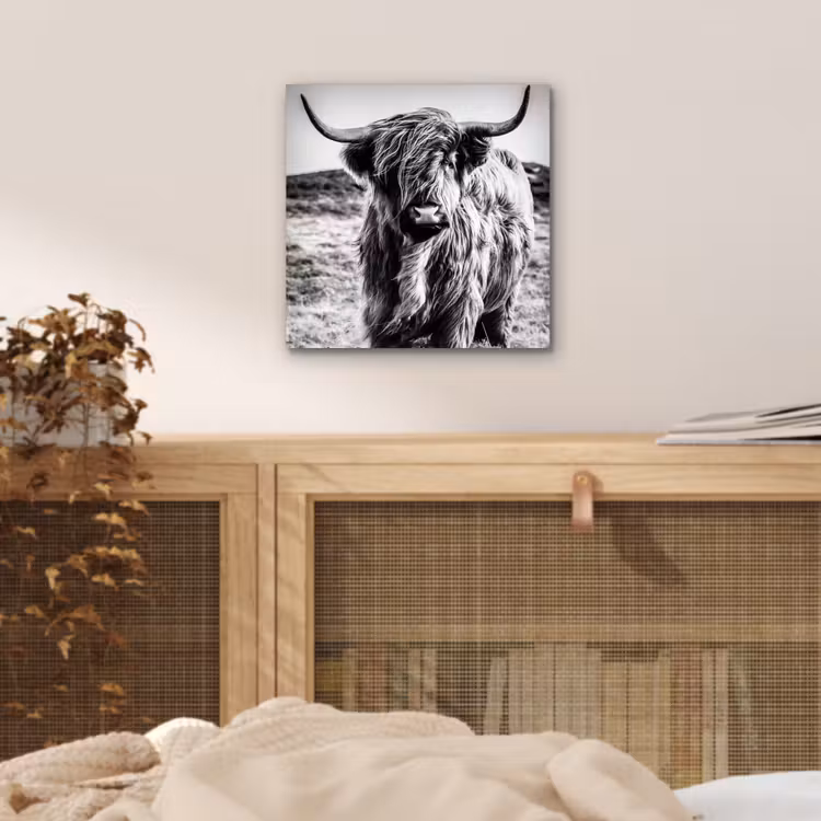 Schotse hooglander - Natuur - Koe - Zwart - Wit aluminium wit klein -sfeer3