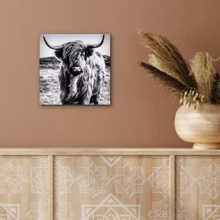 Schotse hooglander - Natuur - Koe - Zwart - Wit aluminium wit klein -sfeer4
