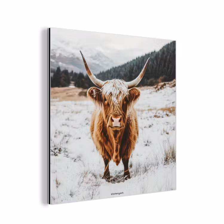 Schotse Hooglander - Sneeuw - Winter - Dieren aluminium wit klein -3d
