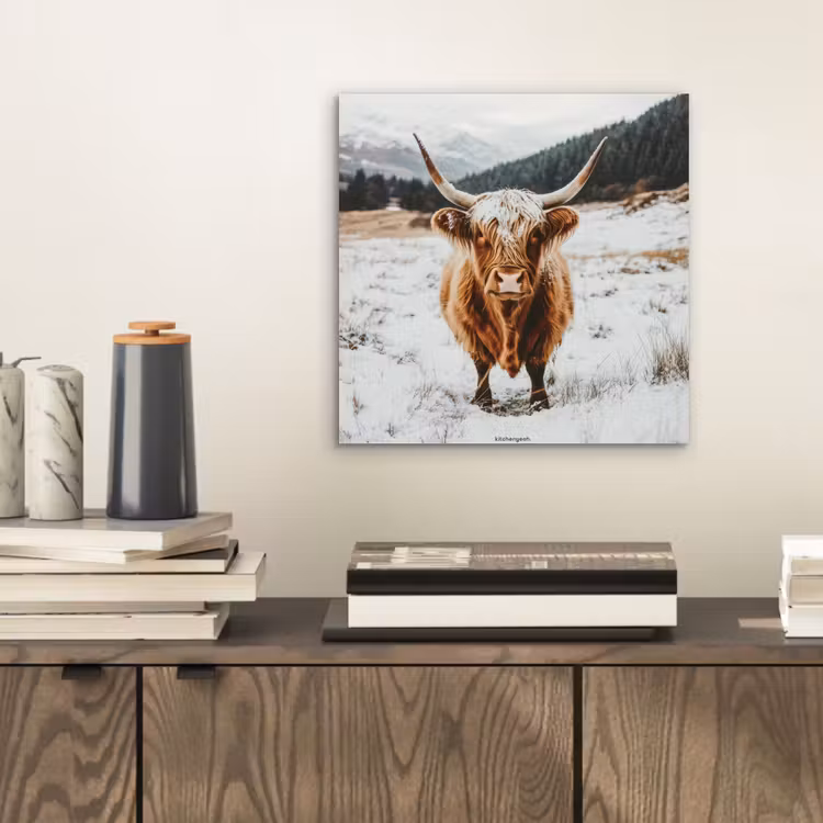 Schotse Hooglander - Sneeuw - Winter - Dieren aluminium wit klein -sfeer1