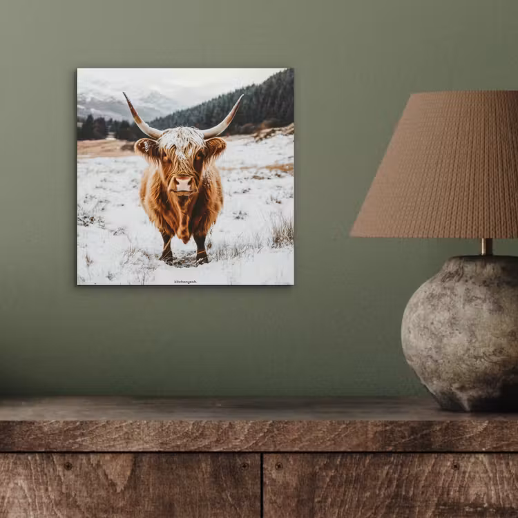 Schotse Hooglander - Sneeuw - Winter - Dieren aluminium wit klein -sfeer2