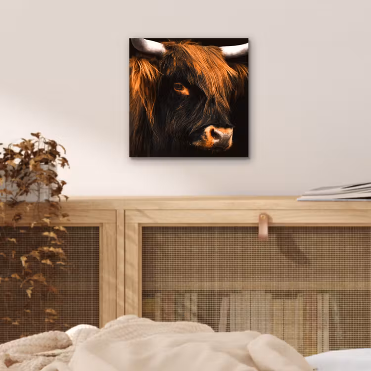 Schotse hooglander - Zwart - Koe - Hoorn - Dieren aluminium wit klein -sfeer3