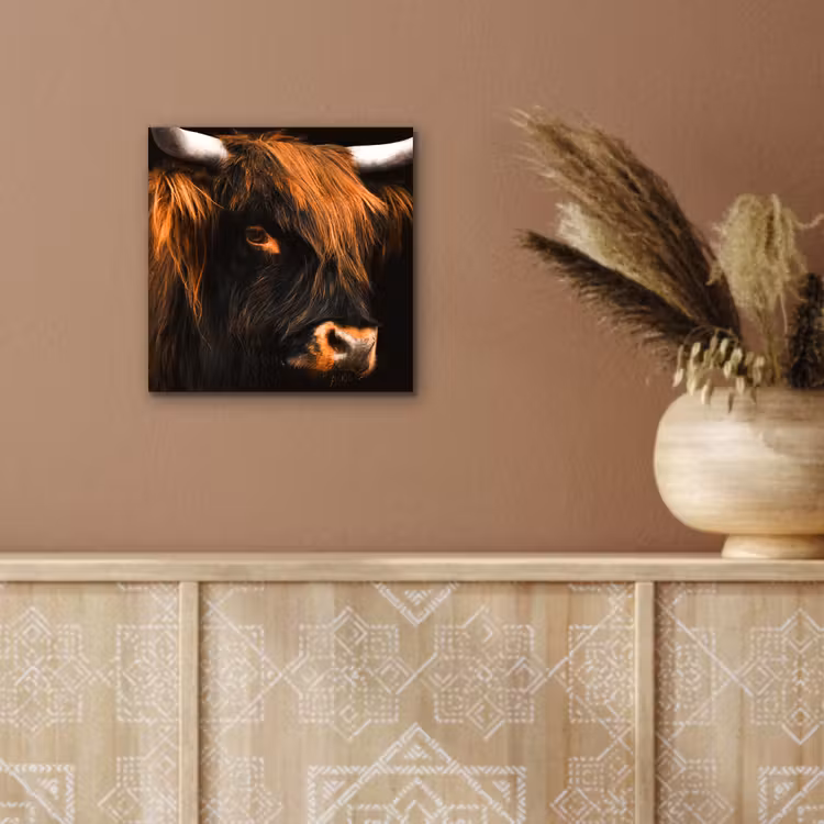 Schotse hooglander - Zwart - Koe - Hoorn - Dieren aluminium wit klein -sfeer4