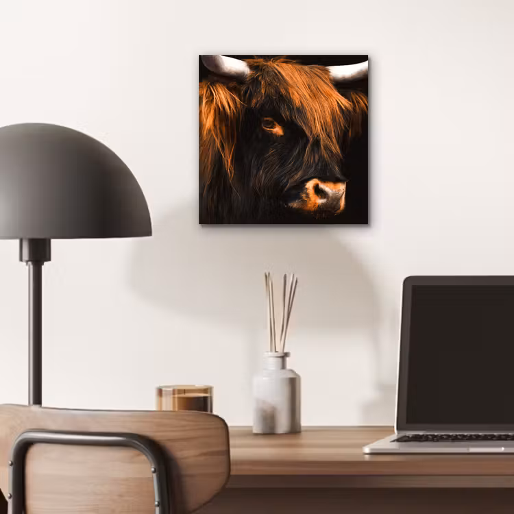 Schotse hooglander - Zwart - Koe - Hoorn - Dieren aluminium wit klein -sfeer5