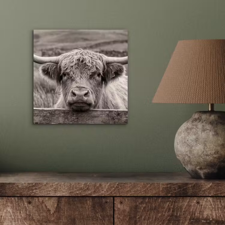 Schotse hooglander - Zwart - Wit - Hout aluminium wit klein -sfeer2