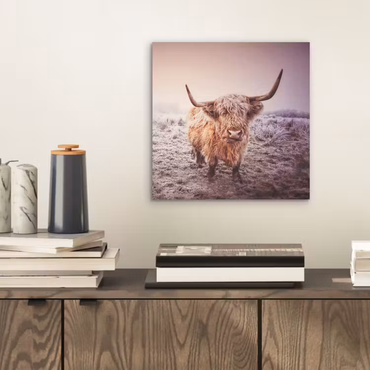 Schotse hooglanders - Licht - Lucht - Natuur aluminium wit klein -sfeer1