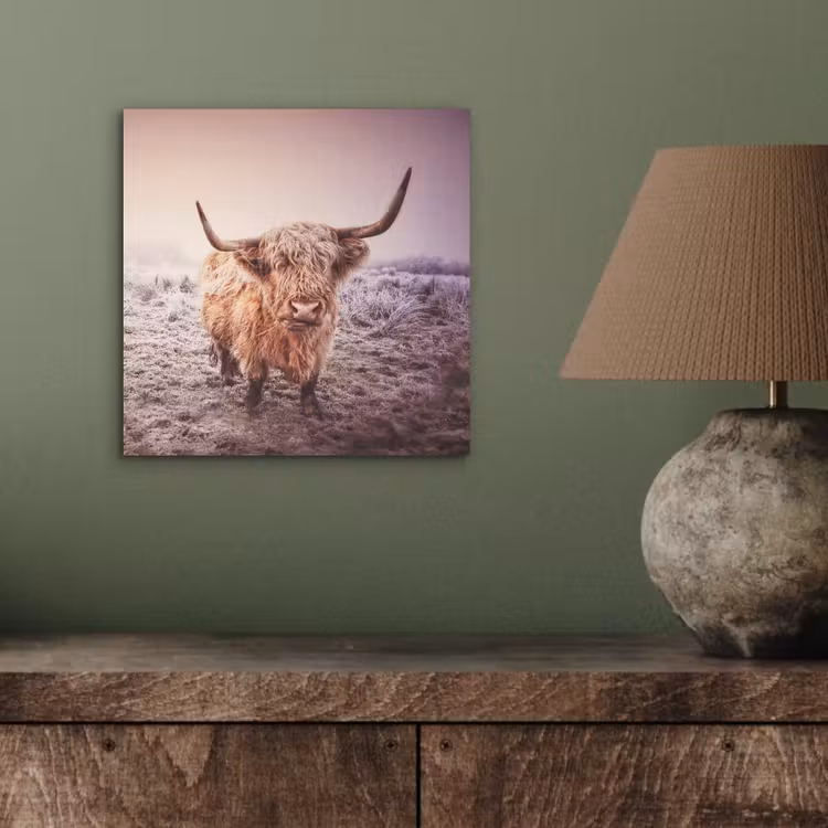 Schotse hooglanders - Licht - Lucht - Natuur aluminium wit klein -sfeer2