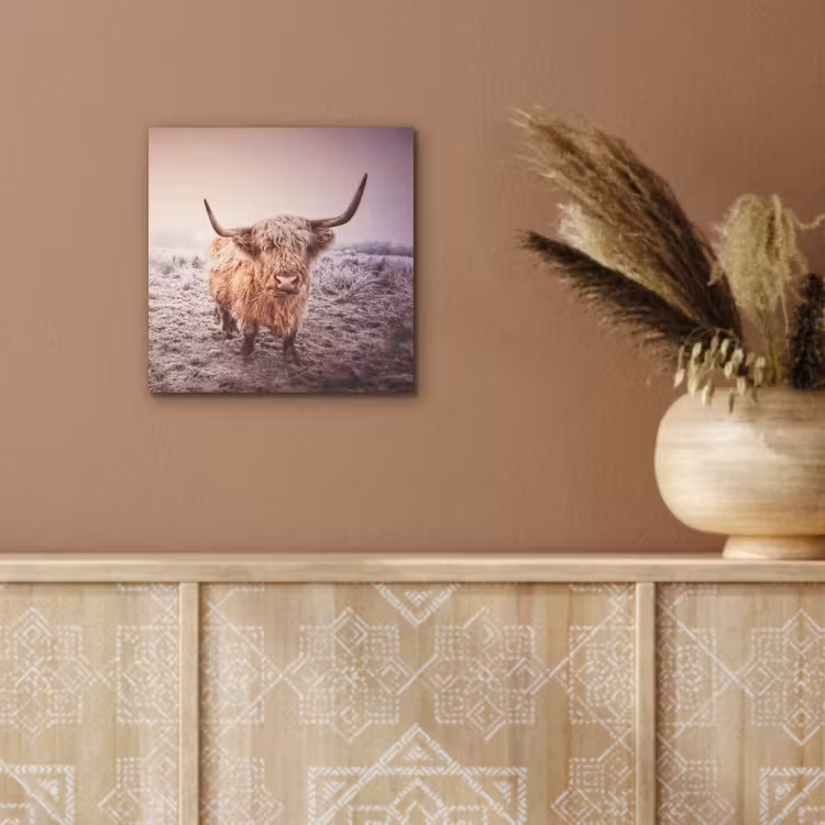 Schotse hooglanders - Licht - Lucht - Natuur aluminium wit klein -sfeer4