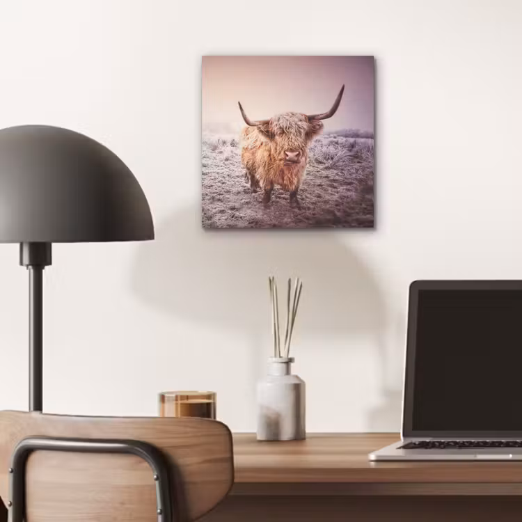 Schotse hooglanders - Licht - Lucht - Natuur aluminium wit klein -sfeer5