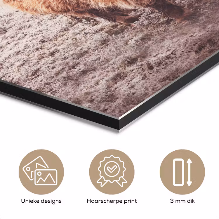 Schotse hooglanders - Licht - Lucht - Natuur aluminium wit klein -closeup_NL