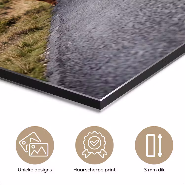 Schotse Hooglanders - Weg - Landschap - Kudde aluminium wit klein -closeup_NL