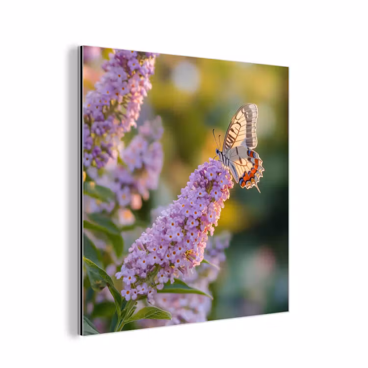 Sierlijke - Vlinder - Paarse - Bloemen aluminium wit klein -3d