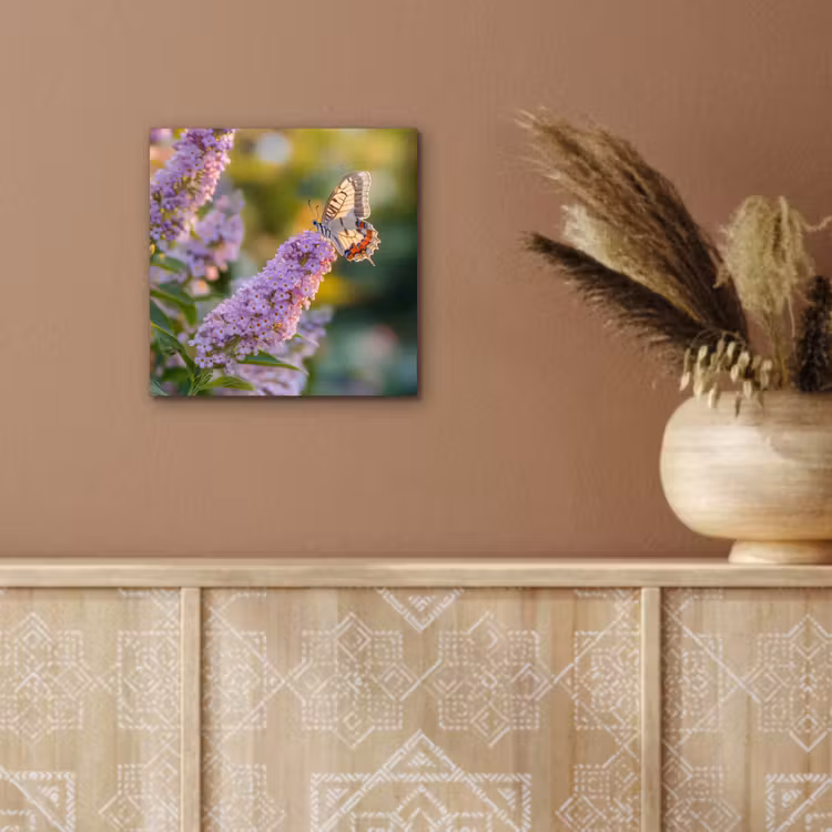 Sierlijke - Vlinder - Paarse - Bloemen aluminium wit klein -sfeer4