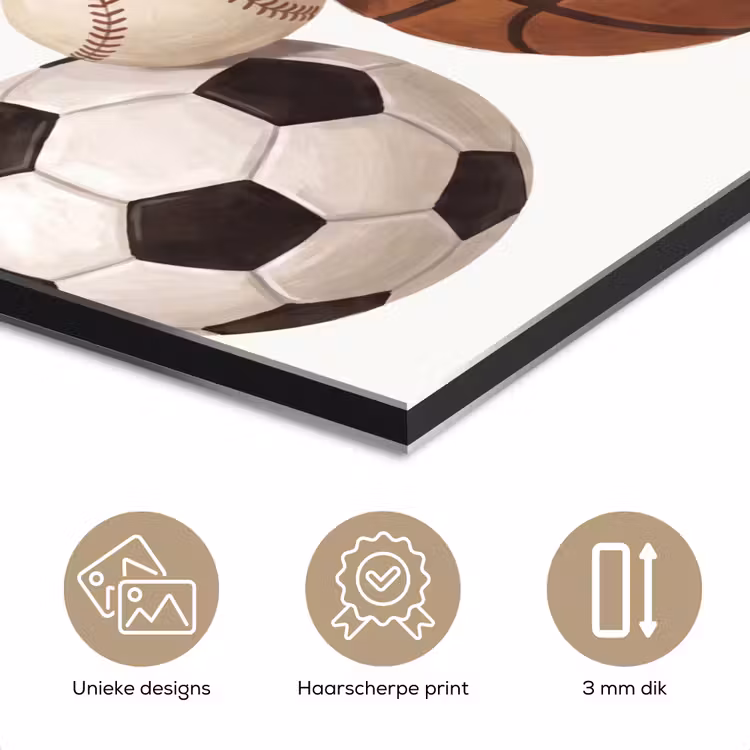 Sport - Ballen - Illustratie aluminium wit klein -closeup_NL
