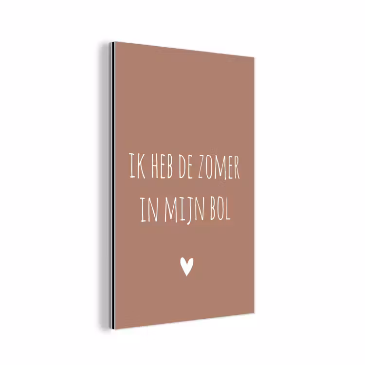 Spreuken - Ik heb de zomer in mijn bol - Quotes - André Hazes aluminium wit klein -3d