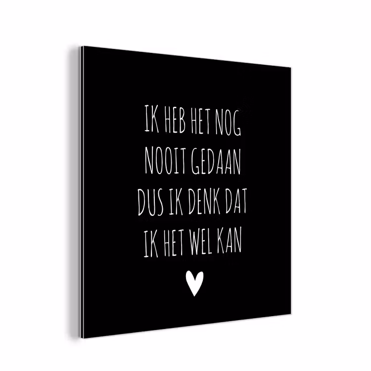 Spreuken - Ik heb het nog nooit gedaan dus - Quotes aluminium wit klein -3d