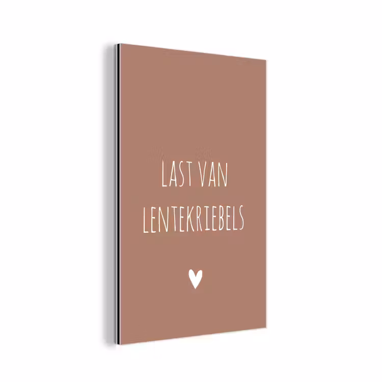 Spreuken - Last van lentekriebels - Quotes aluminium wit klein -3d