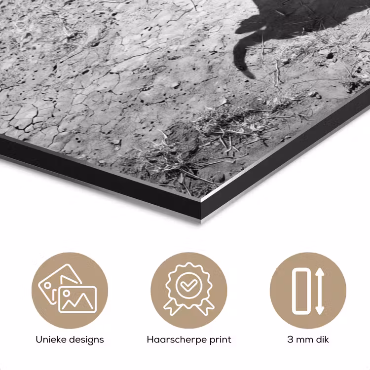 Stier - Schaduw - Dieren - Contrast - Zwart-wit aluminium wit klein -closeup_NL