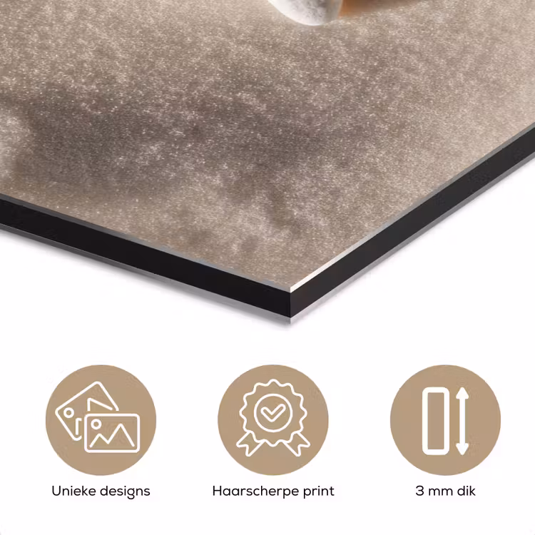 Strand - Zeester - Zand - Beige aluminium wit klein -closeup_NL
