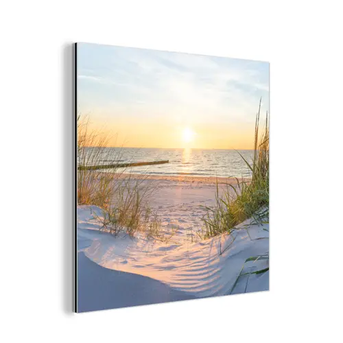 Strand - Zon - Duin - Gras - Zand - Horizon aluminium wit klein -3d