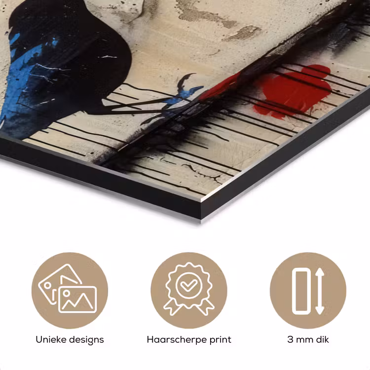 Street art - Meisje - Vogel - Graffiti - Banksy aluminium wit klein -closeup_NL