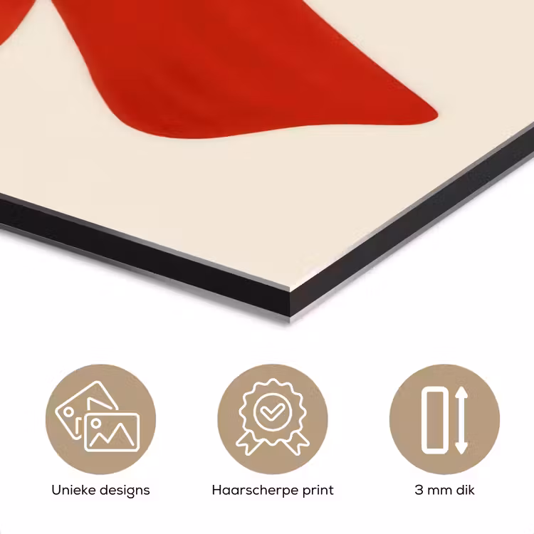 Strik - Symmetrisch - Rood - Lint aluminium wit klein -closeup_NL