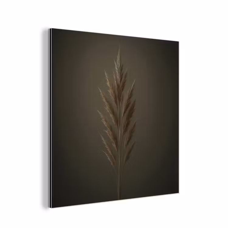 Tak - Pluimgras - Donkerbruin aluminium wit klein -3d