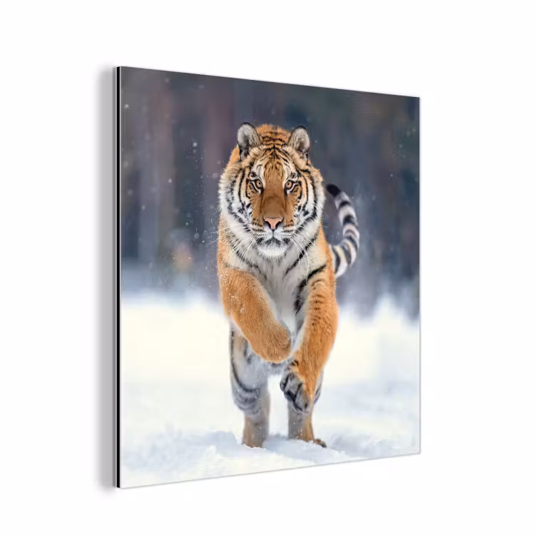 Tijger - Landschap - Sneeuw - Winter - Dieren aluminium wit klein -3d