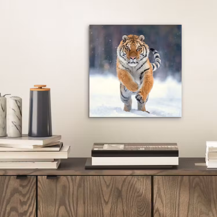 Tijger - Landschap - Sneeuw - Winter - Dieren aluminium wit klein -sfeer1