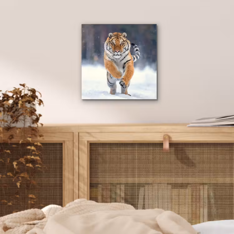 Tijger - Landschap - Sneeuw - Winter - Dieren aluminium wit klein -sfeer3
