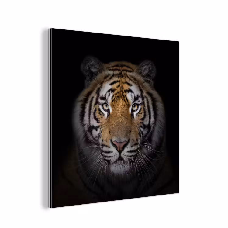 Tijger - Wilde dieren - Portret - Zwart - Dieren aluminium wit klein -3d