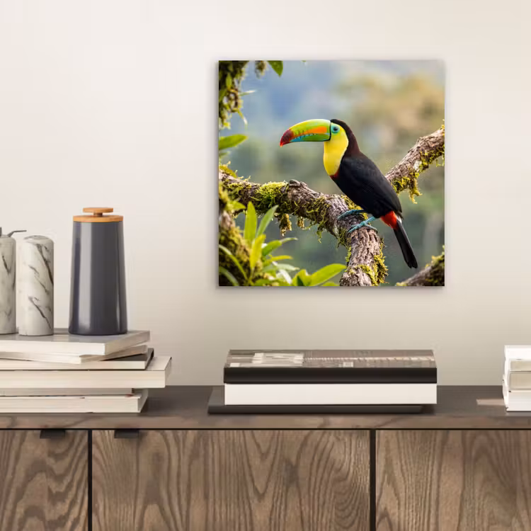 Toekan - Jungle - Natuur - Kleurrijk aluminium wit klein -sfeer1