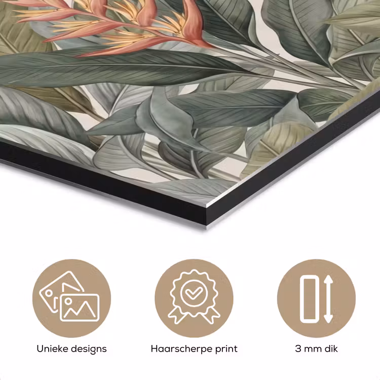Tropisch - Planten - Modern - Groen aluminium wit klein -closeup_NL