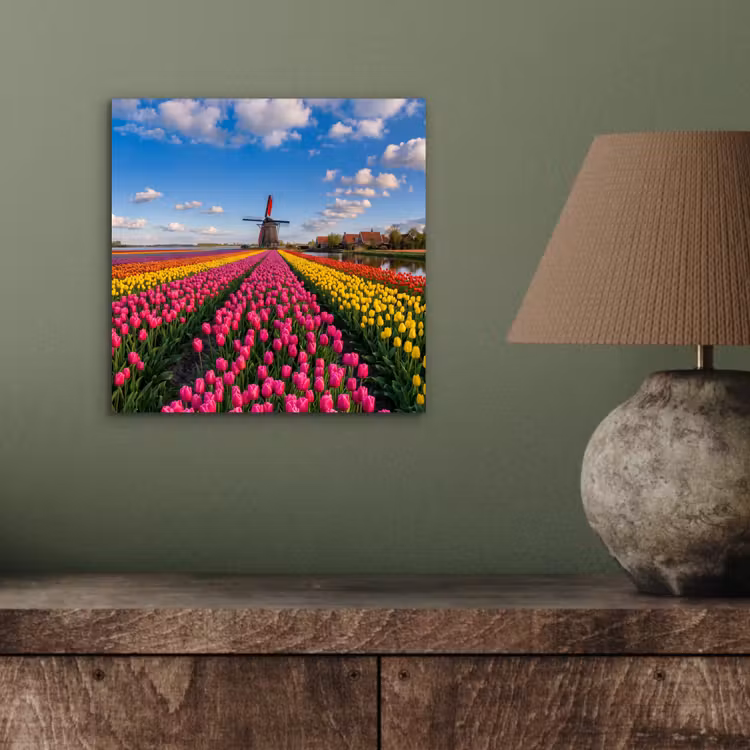 Tulpen - Holland - Molen - Kleurrijk aluminium wit klein -sfeer2