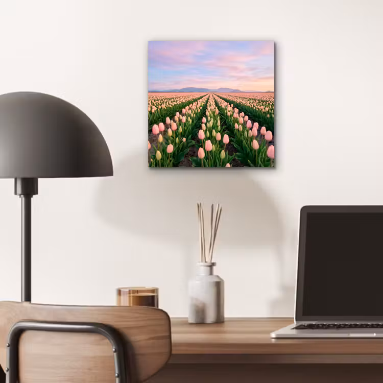 Tulpen - Landschap - Roze aluminium wit klein -sfeer5