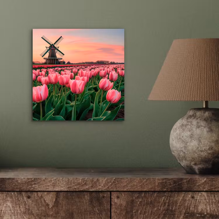 Tulpen - Molen - Nederland aluminium wit klein -sfeer2