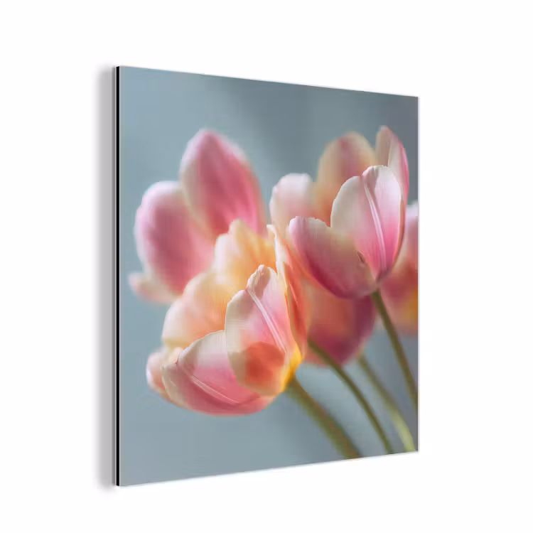 Tulpen - Roze - Stelen aluminium wit klein -3d