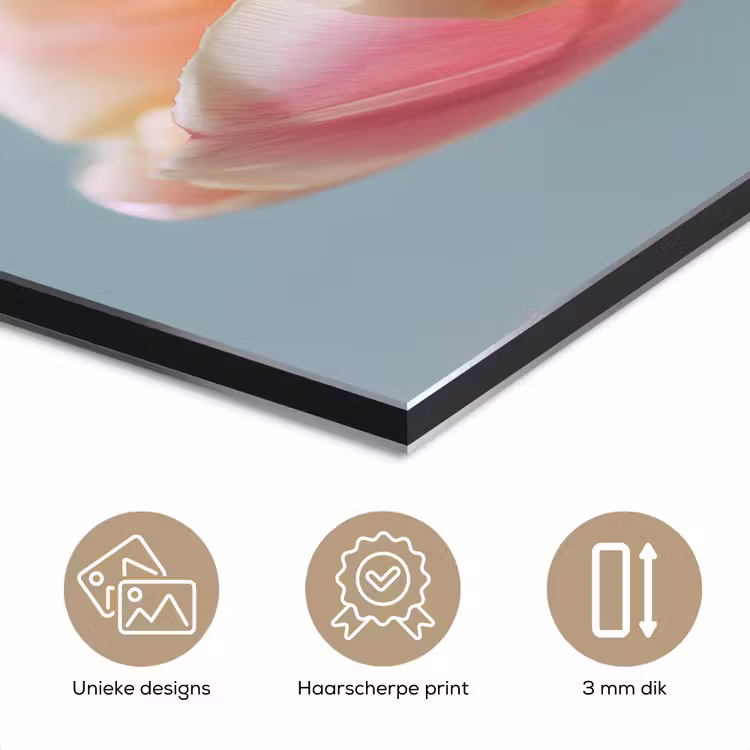 Tulpen - Roze - Stelen aluminium wit klein -closeup_NL