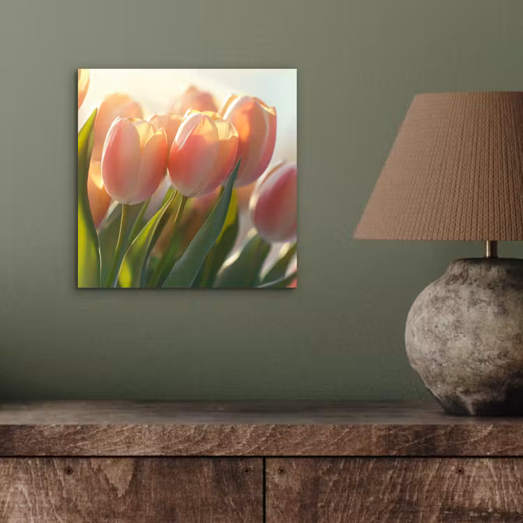 Tulpen - Roze - Zonnestralen aluminium wit klein -sfeer2