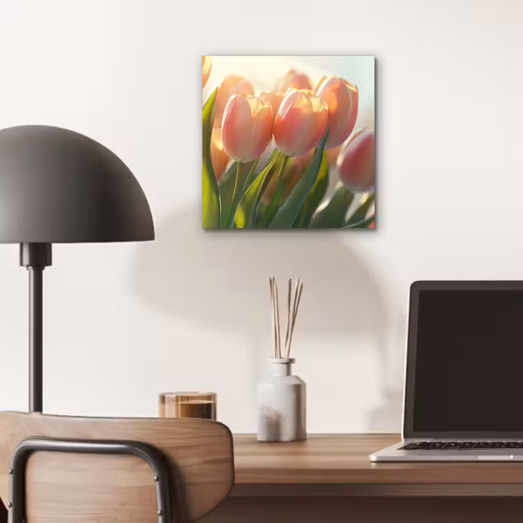 Tulpen - Roze - Zonnestralen aluminium wit klein -sfeer5