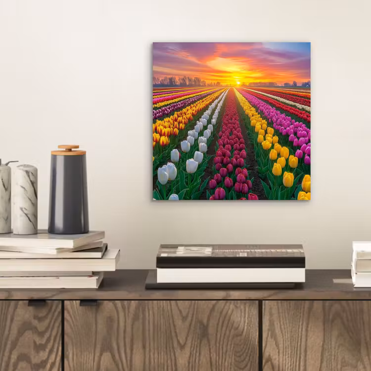 Tulpenveld - Zonsondergang - Kleurrijk aluminium wit klein -sfeer1