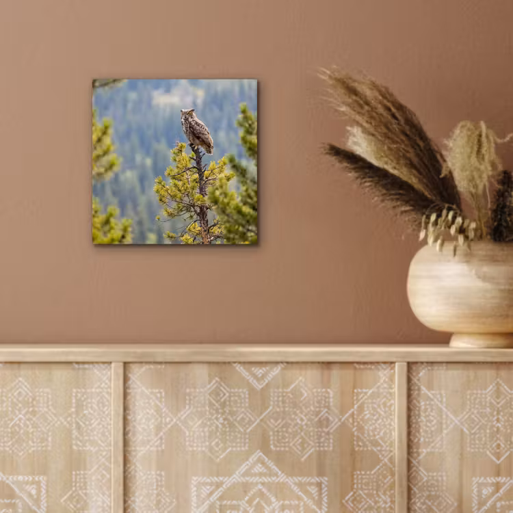 Uil - Oehoe - Bomen - Natuur aluminium wit klein -sfeer4