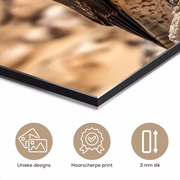 Valk - Vogel - Rots - Macht aluminium wit klein -closeup_NL