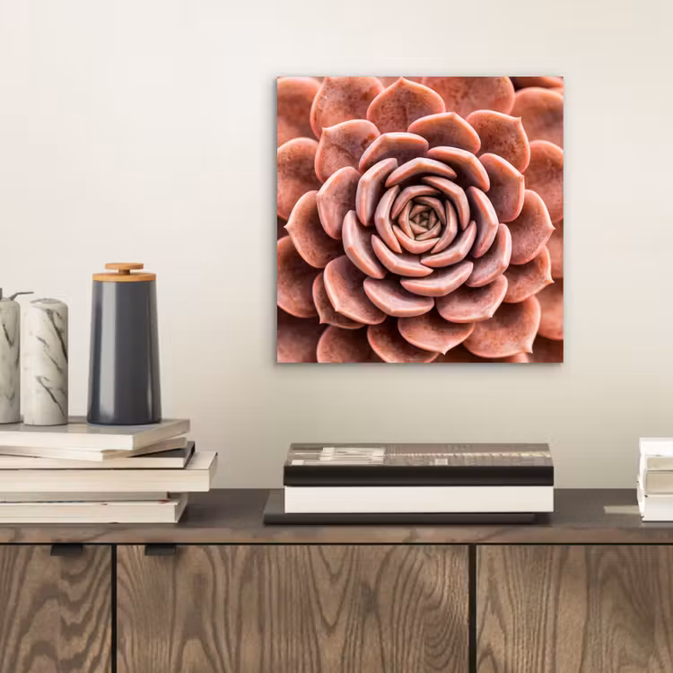 Vetplant - Organisch - Roze aluminium wit klein -sfeer1