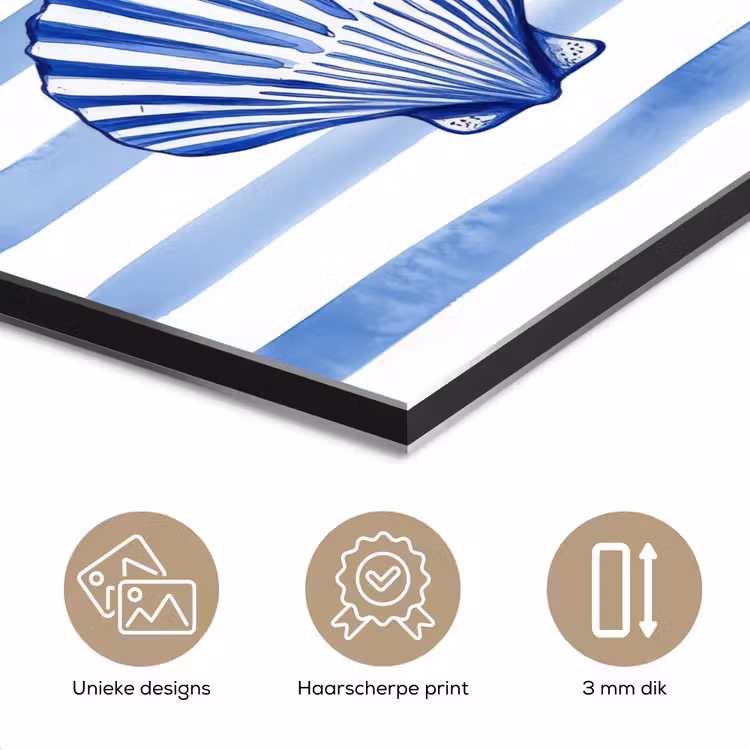 Vier schelpen - Blauw - Wit - Strepen aluminium wit klein -closeup_NL
