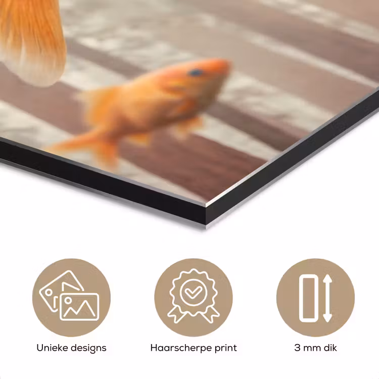 Aluminium schilderij - Vis - Bos - Fantasie - Vis - Bos - Fantasie aluminium wit klein